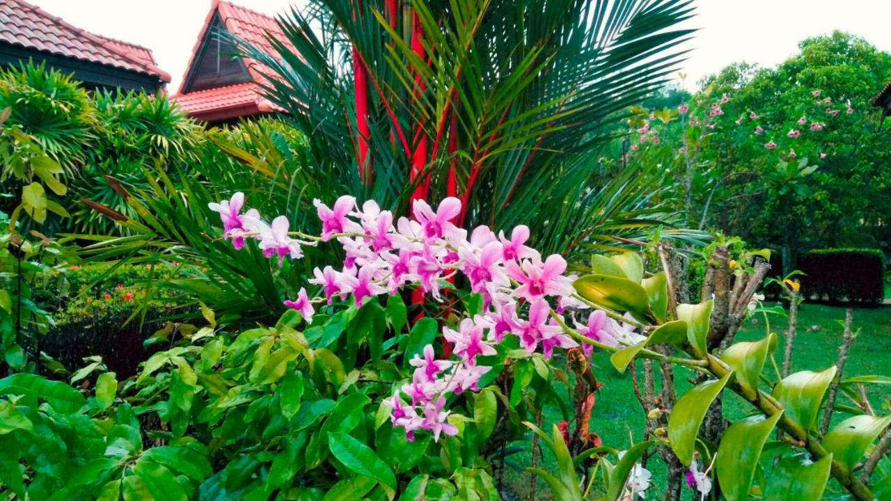 Family-Friendly House, A Few Steps From The Pool And Close To The Ocean. Mae Phim Exterior photo